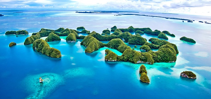 馬紹爾公司的年審相關費用？年審的內容是什么？