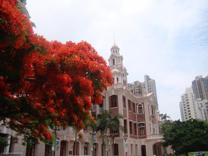 分享香港留學(xué)各專業(yè)申請秘籍，您知道嗎？