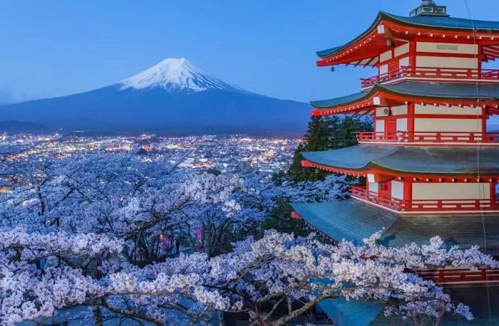 一般日本商標注冊費是多少？辦理日本商標注冊的流程。